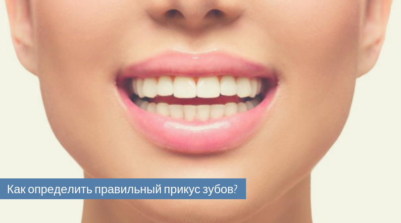 прикус на превью.png