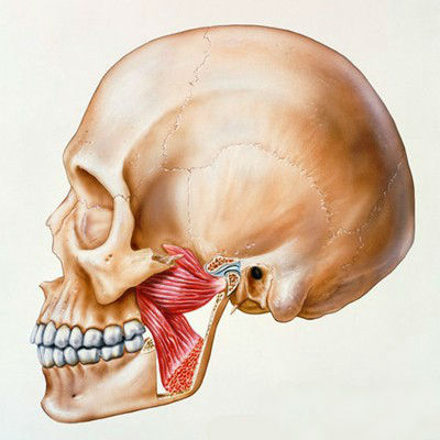 Болит челюстной сустав
